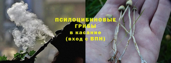 прущие крисы Козловка