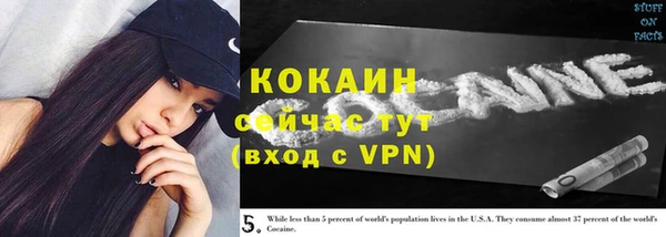 прущие крисы Козловка