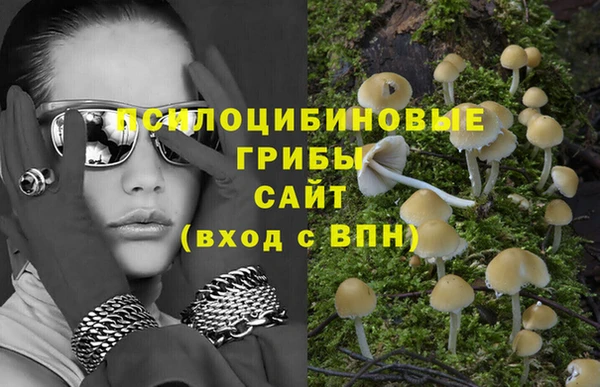 ешки Кодинск