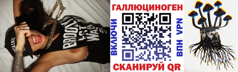 Купить где  Плавск  Псилоцибиновые грибы Cubensis 