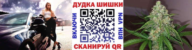 Купить закладки  Плавск  Бошки Шишки White Widow 